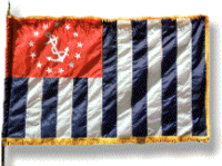 The USPS Flag